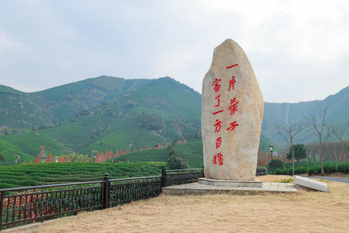 图片19